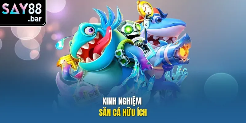Kinh nghiệm săn cá hữu ích.